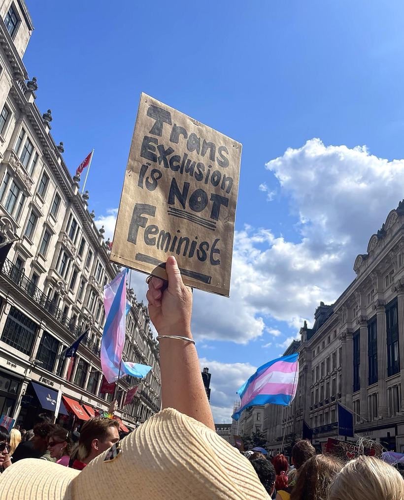 A hand raises a homemade cardboard sign reading 'Trans exclusion is not feminist' against a blue sky, at an outdoor march. Trans pride flags (pale blue, pink and white stripes) are visible nearby, with a crowd of people and city buildings in the background